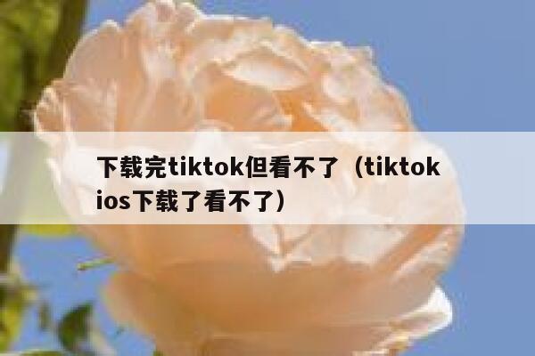 下载完tiktok但看不了（tiktokios下载了看不了） 第1张