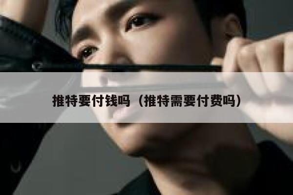 推特要付钱吗（推特需要付费吗） 第1张