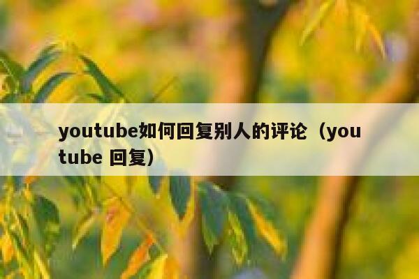 youtube如何回复别人的评论（youtube 回复） 第1张