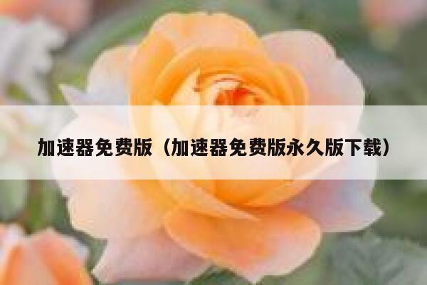 加速器免费版（加速器免费版永久版下载） 第1张