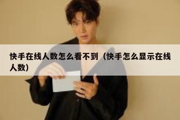 快手在线人数怎么看不到（快手怎么显示在线人数） 第1张