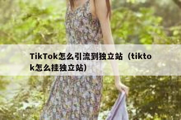 TikTok怎么引流到独立站（tiktok怎么挂独立站） 第1张