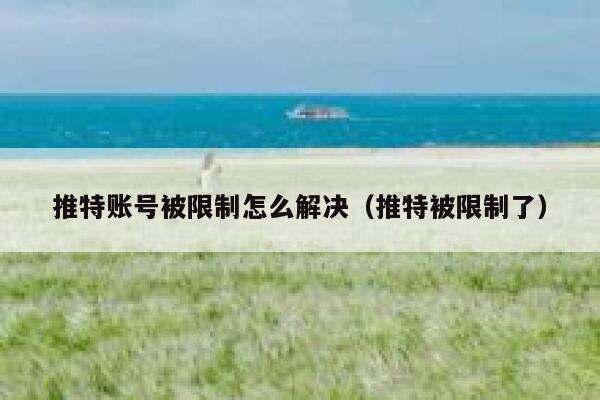 推特账号被限制怎么解决（推特被限制了） 第1张
