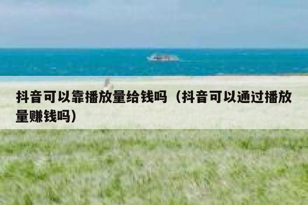 抖音可以靠播放量给钱吗（抖音可以通过播放量赚钱吗） 第1张