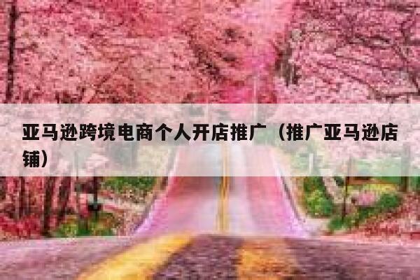 亚马逊跨境电商个人开店推广（推广亚马逊店铺） 第1张
