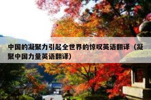 中国的凝聚力引起全世界的惊叹英语翻译（凝聚中国力量英语翻译） 第1张