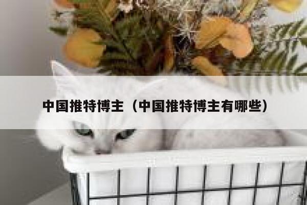 中国推特博主（中国推特博主有哪些） 第1张