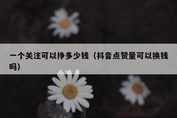 一个关注可以挣多少钱（抖音点赞量可以换钱吗） 第1张