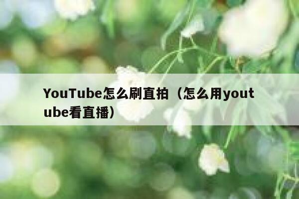 YouTube怎么刷直拍（怎么用youtube看直播） 第1张