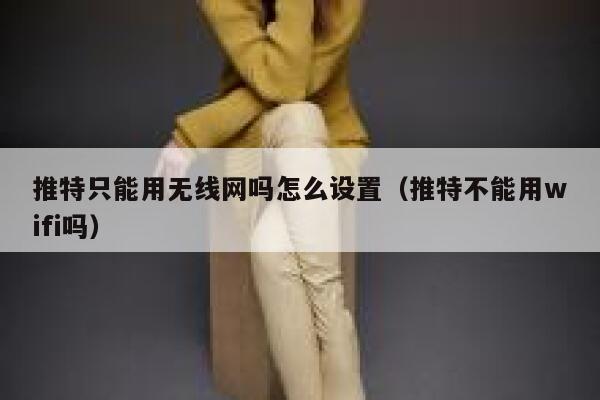 推特只能用无线网吗怎么设置（推特不能用wifi吗） 第1张