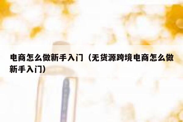 电商怎么做新手入门（无货源跨境电商怎么做新手入门） 第1张
