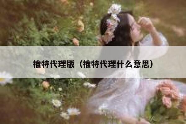 推特代理版（推特代理什么意思） 第1张