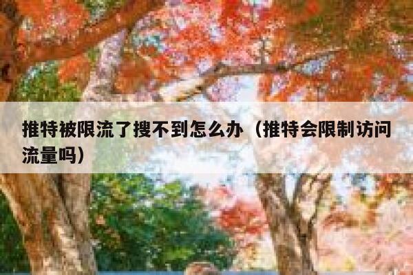 推特被限流了搜不到怎么办（推特会限制访问流量吗） 第1张