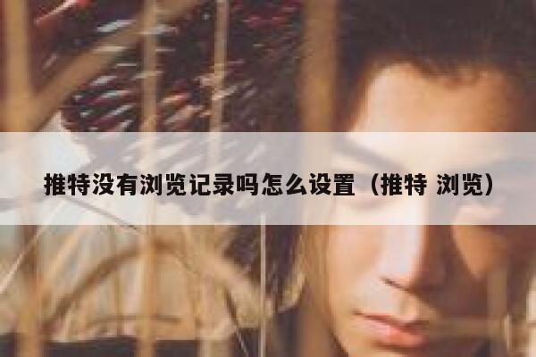 推特没有浏览记录吗怎么设置（推特 浏览） 第1张