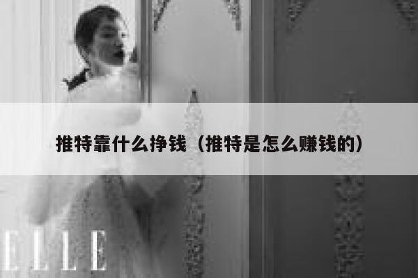 推特靠什么挣钱（推特是怎么赚钱的） 第1张