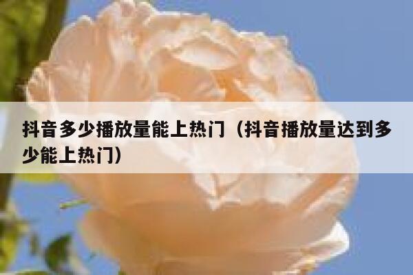 抖音多少播放量能上热门（抖音播放量达到多少能上热门） 第1张