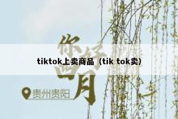 tiktok上卖商品（tik tok卖） 第1张