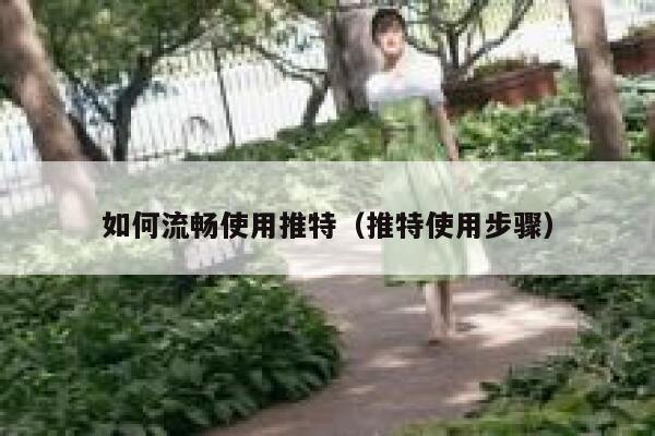 如何流畅使用推特（推特使用步骤） 第1张