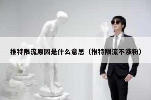 推特限流原因是什么意思（推特限流不涨粉） 第1张