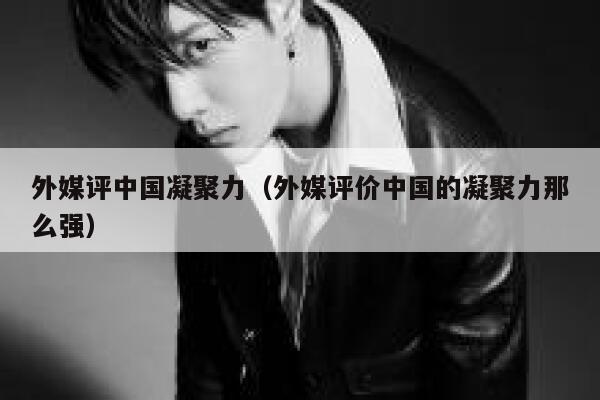 外媒评中国凝聚力（外媒评价中国的凝聚力那么强） 第1张