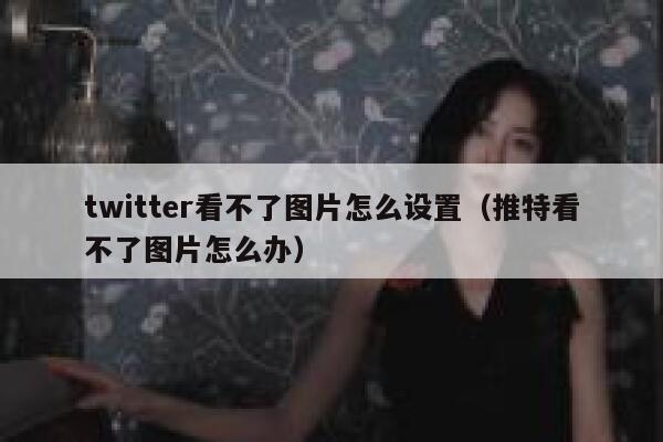 twitter看不了图片怎么设置（推特看不了图片怎么办） 第1张