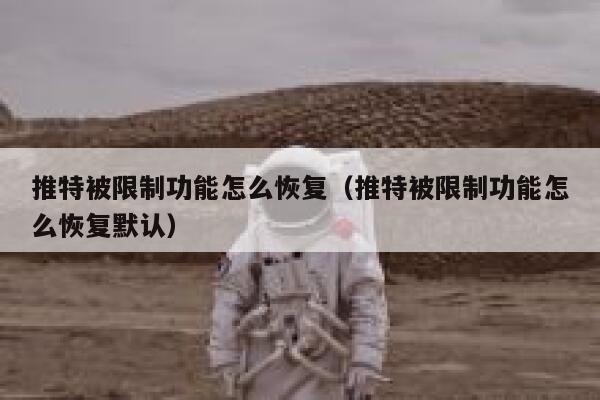 推特被限制功能怎么恢复（推特被限制功能怎么恢复默认） 第1张