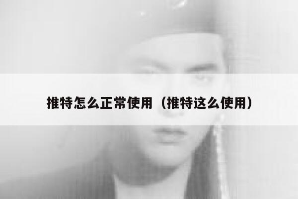 推特怎么正常使用（推特这么使用） 第1张