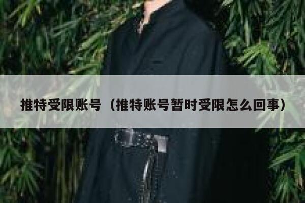 推特受限账号（推特账号暂时受限怎么回事） 第1张