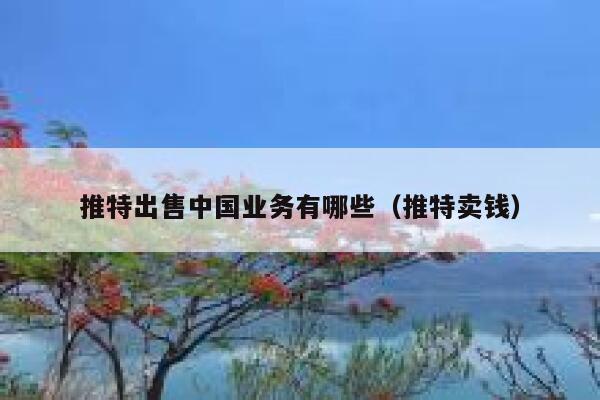 推特出售中国业务有哪些（推特卖钱） 第1张
