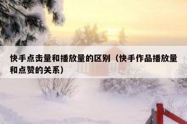 快手点击量和播放量的区别（快手作品播放量和点赞的关系） 第1张