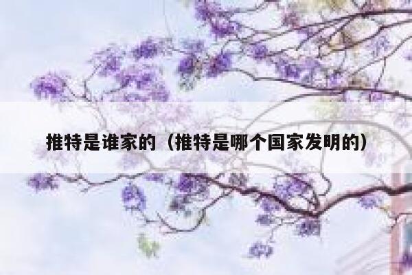 推特是谁家的（推特是哪个国家发明的） 第1张