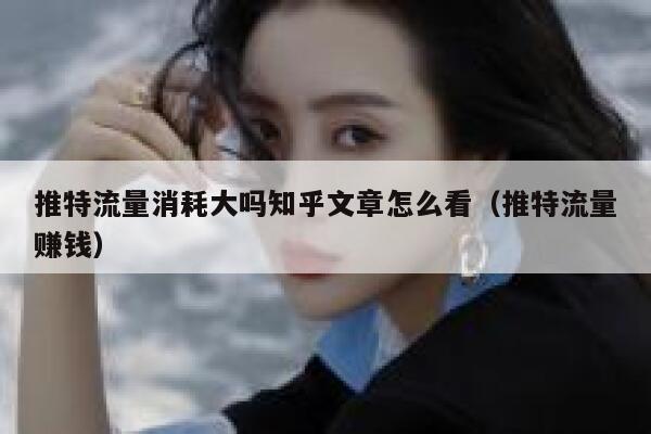 推特流量消耗大吗知乎文章怎么看（推特流量赚钱） 第1张