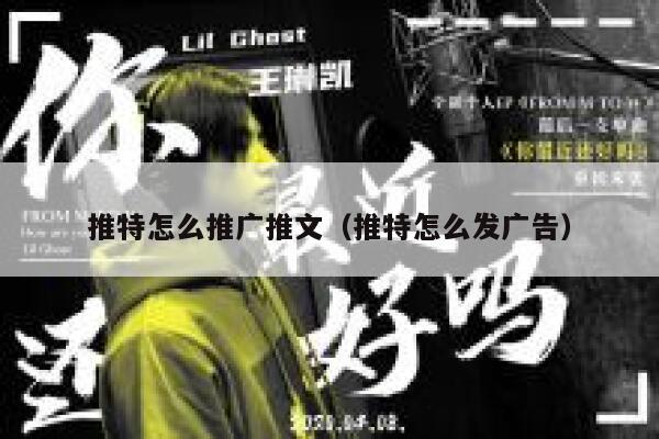 推特怎么推广推文（推特怎么发广告） 第1张
