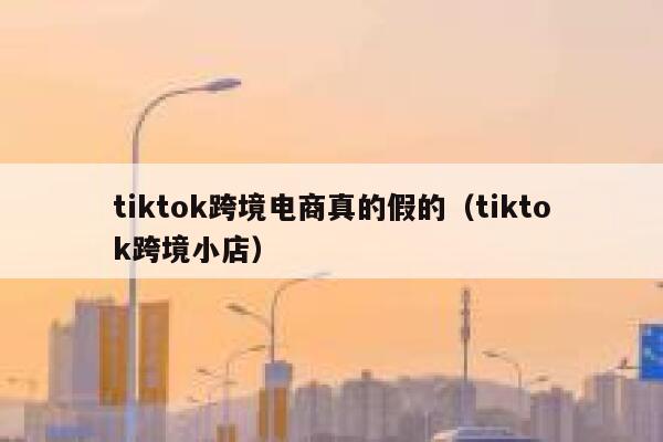 tiktok跨境电商真的假的（tiktok跨境小店） 第1张
