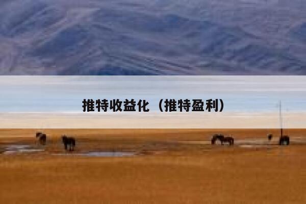 推特收益化（推特盈利） 第1张