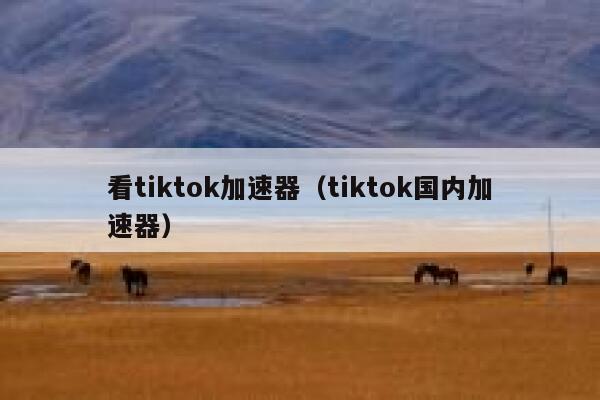 看tiktok加速器（tiktok国内加速器） 第1张