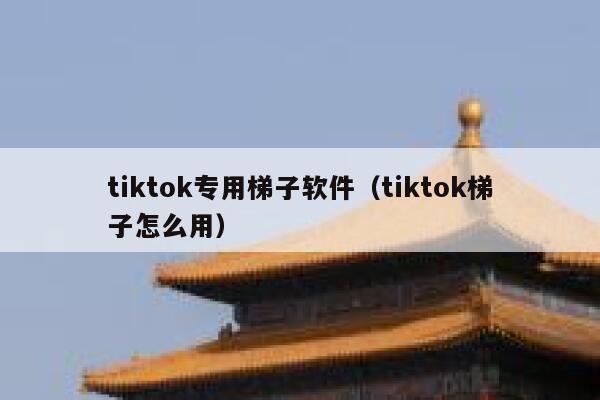 tiktok专用梯子软件（tiktok梯子怎么用） 第1张