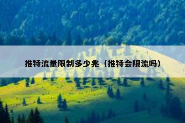 推特流量限制多少兆（推特会限流吗） 第1张