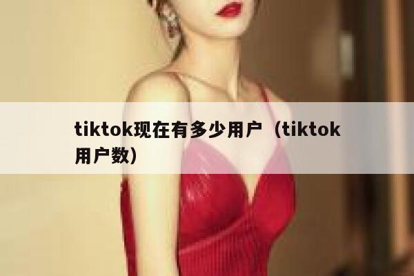 tiktok现在有多少用户（tiktok用户数） 第1张