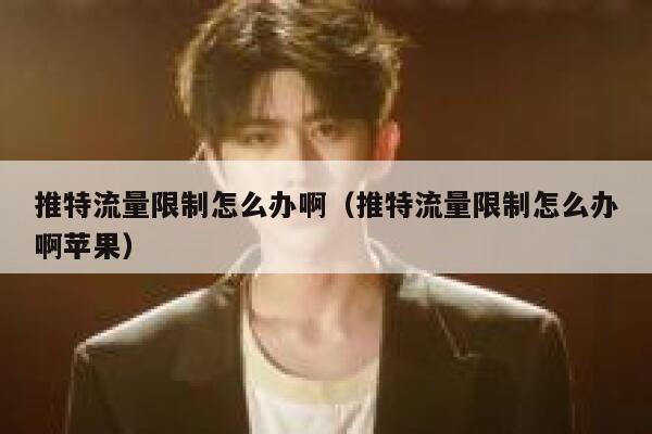 推特流量限制怎么办啊（推特流量限制怎么办啊苹果） 第1张