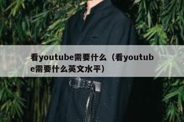 看youtube需要什么（看youtube需要什么英文水平） 第1张