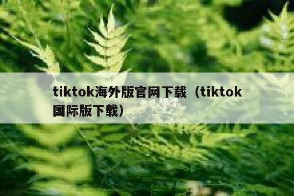 tiktok海外版官网下载（tiktok国际版下载） 第1张