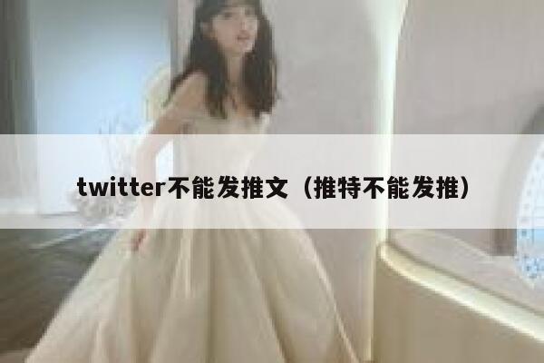 twitter不能发推文（推特不能发推） 第1张