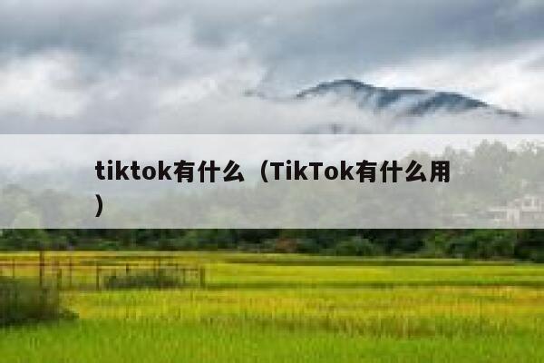 tiktok有什么（TikTok有什么用） 第1张
