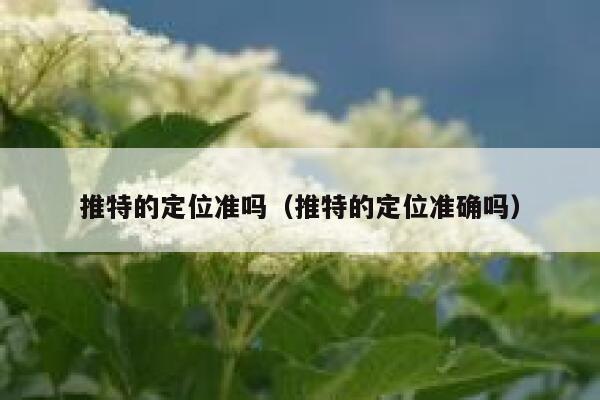 推特的定位准吗（推特的定位准确吗） 第1张