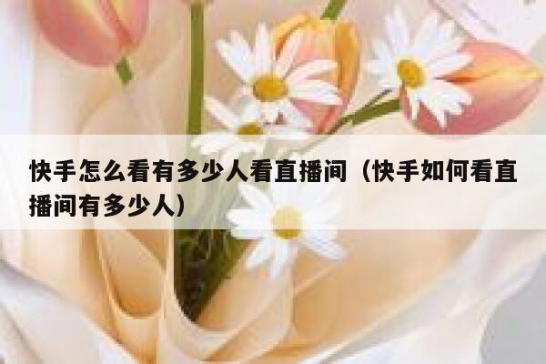 快手怎么看有多少人看直播间（快手如何看直播间有多少人） 第1张