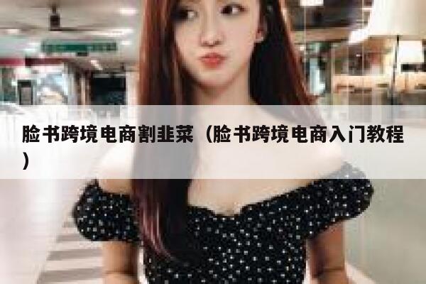 脸书跨境电商割韭菜（脸书跨境电商入门教程） 第1张