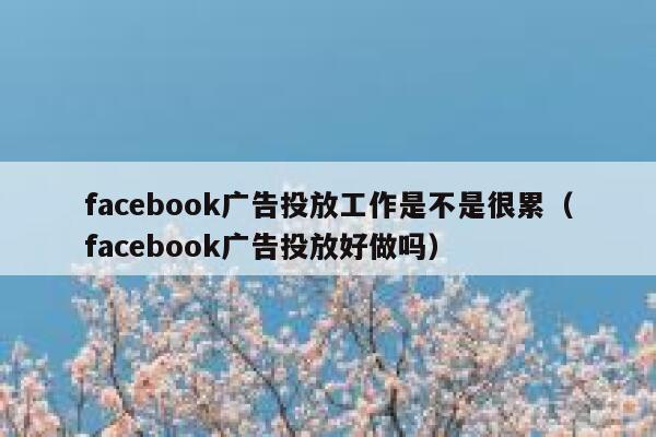 facebook广告投放工作是不是很累（facebook广告投放好做吗） 第1张