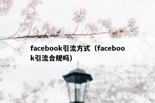 facebook引流方式（facebook引流合规吗） 第1张