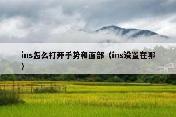 ins怎么打开手势和面部(ins设置在哪) 第1张 ins怎么打开手势和面部(ins设置在哪) 第1张